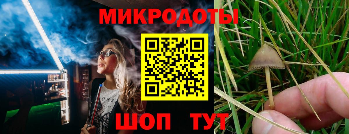 Псилоцибиновые грибы Magic Shrooms Томск